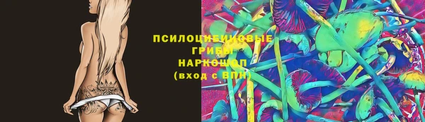 ПСИЛОЦИБИНОВЫЕ ГРИБЫ Протвино