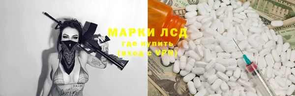 шишки Приозерск
