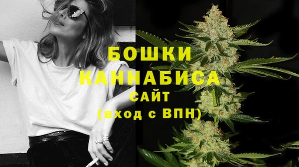 шишки Приозерск