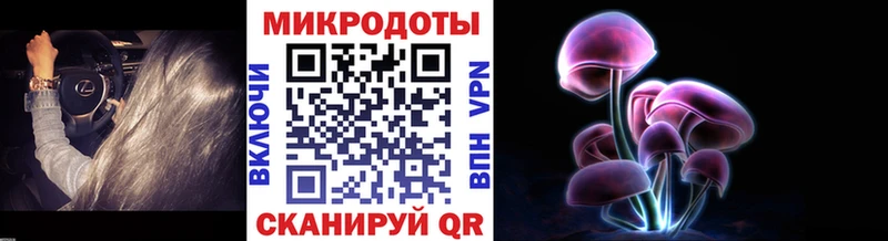 Галлюциногенные грибы прущие грибы  Богородицк 